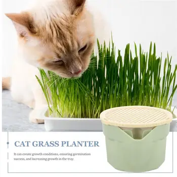 Чашка для гидропонной посадки кошачьих растений Чашка для посадки кошачьей травы Коробка для посадки кошачьей мяты без почвы Коробка для кошачьей травы Коробка для гидропоники Поставка коробки для гидропоники